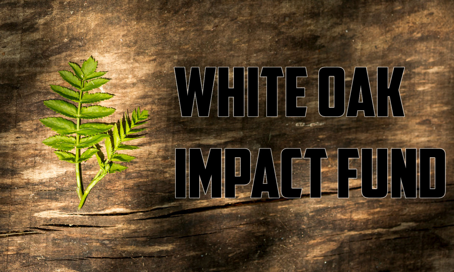 White Oak Impact Fund